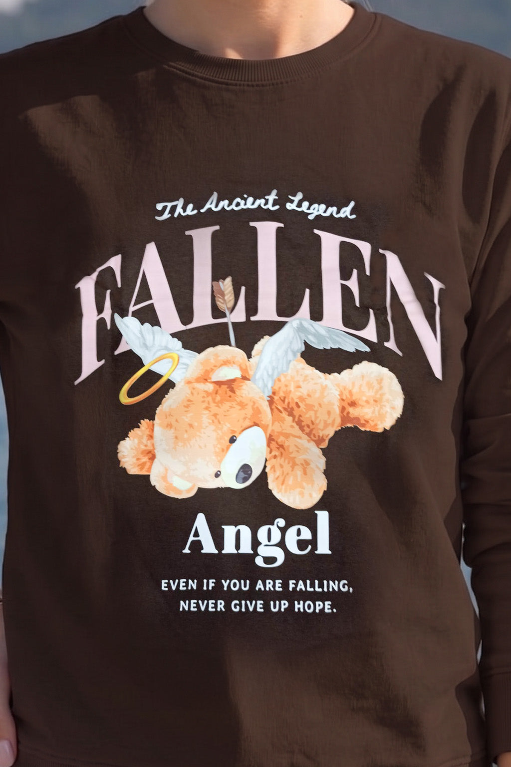 Fallen Brown Printed Full Sleeve Regular Fit T-Shirt