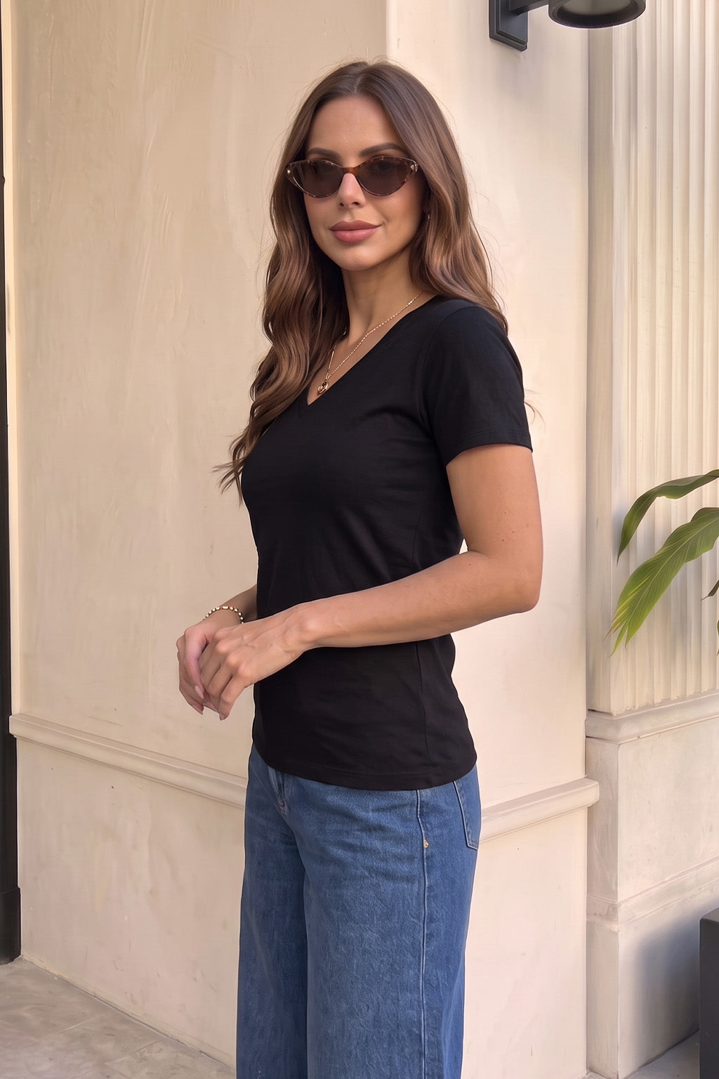 Black Plain V-Neck Regular Fit T-Shirt