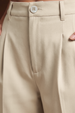 Beige High Rise Pleated Wide-Leg  Korean Pants